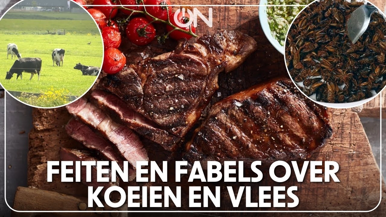 Vlees en koeien de nieuwe zondebok? Maar vlees is toch juist gezond?