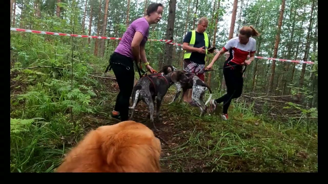 K9 survival cup 2023