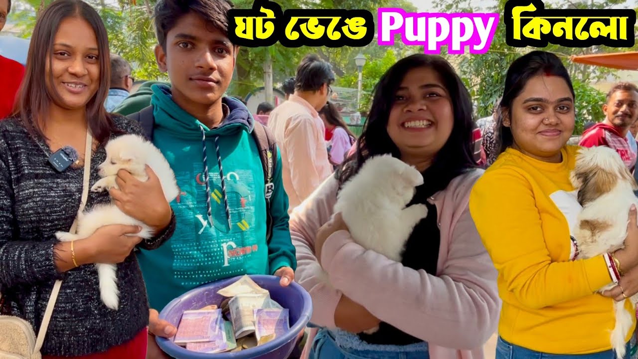 এত দুর দুর থেকে আসছে সবাই শ্রীরামপুর হাটে! Shrirampur Dog Market. Serampore Pet Market.