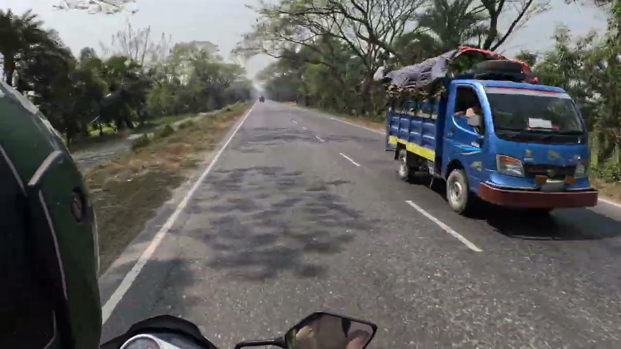 চলন বিল বনপাড়া রোড 