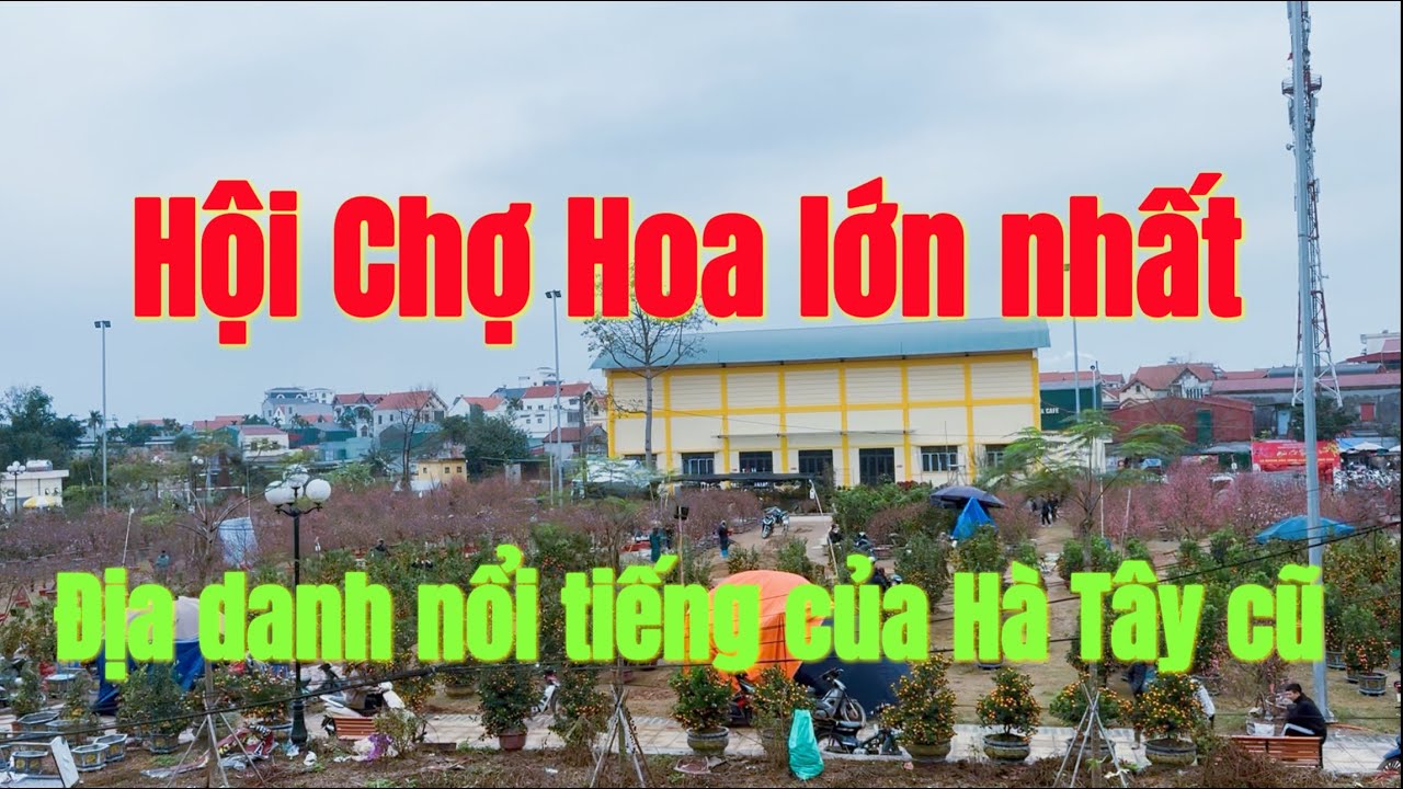 Xuân Về Trên Quê Hương Dương Hoà – Hội Chợ Hoa Ấm Áp