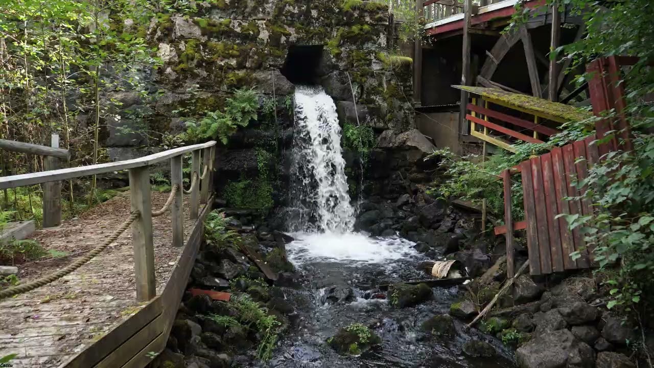 Myllyjoen pato Putikossa