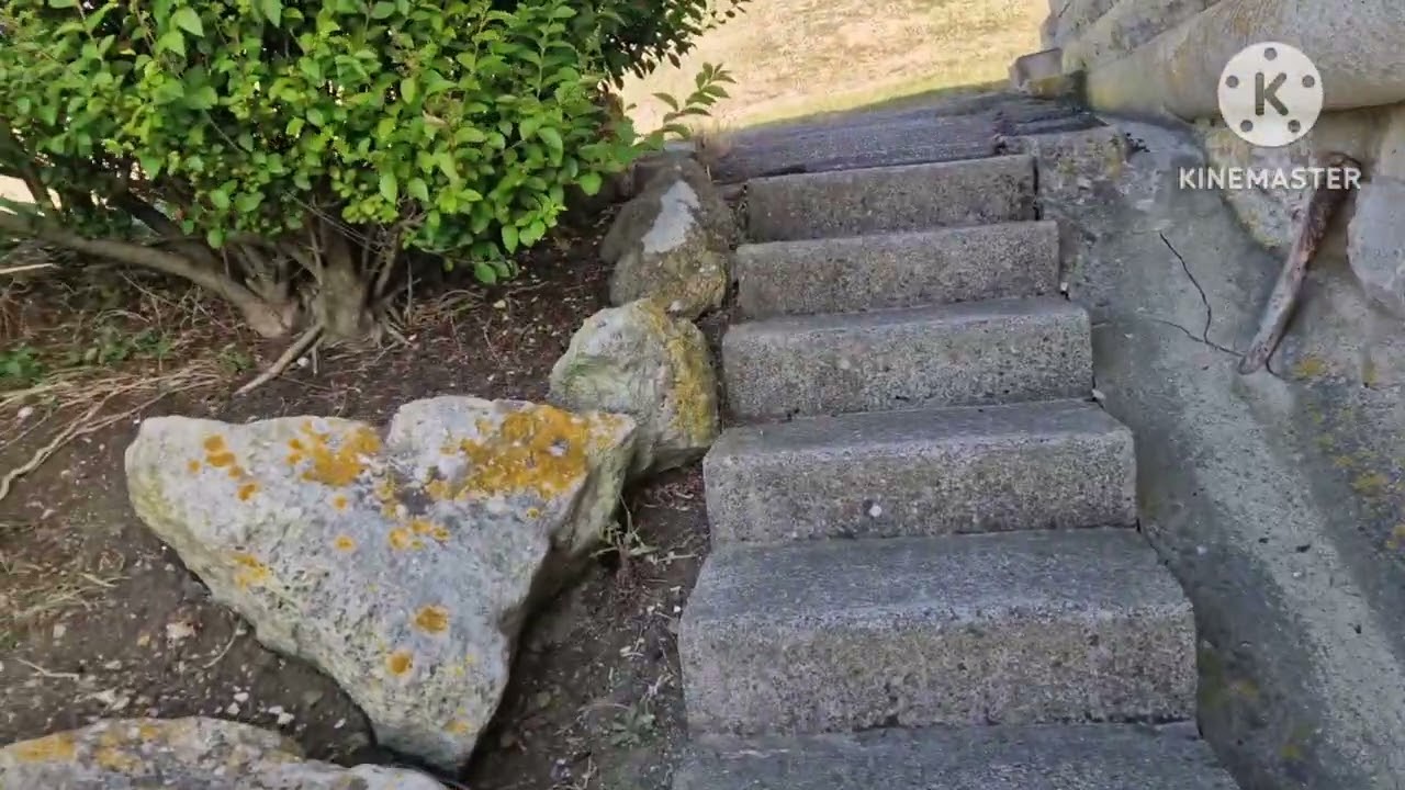 Return to dorset and Hayling island 