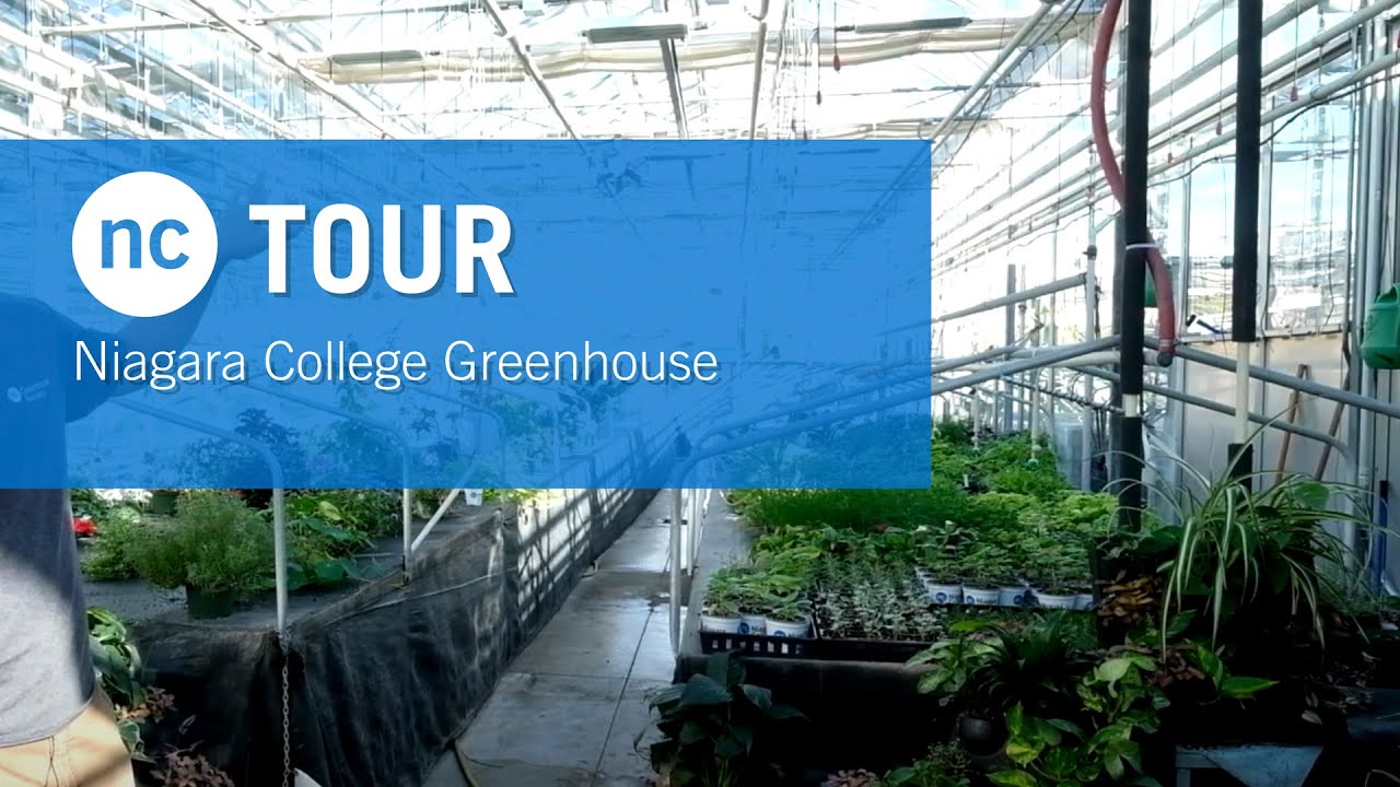 NC Tour ~ Niagara College Greenhouse
