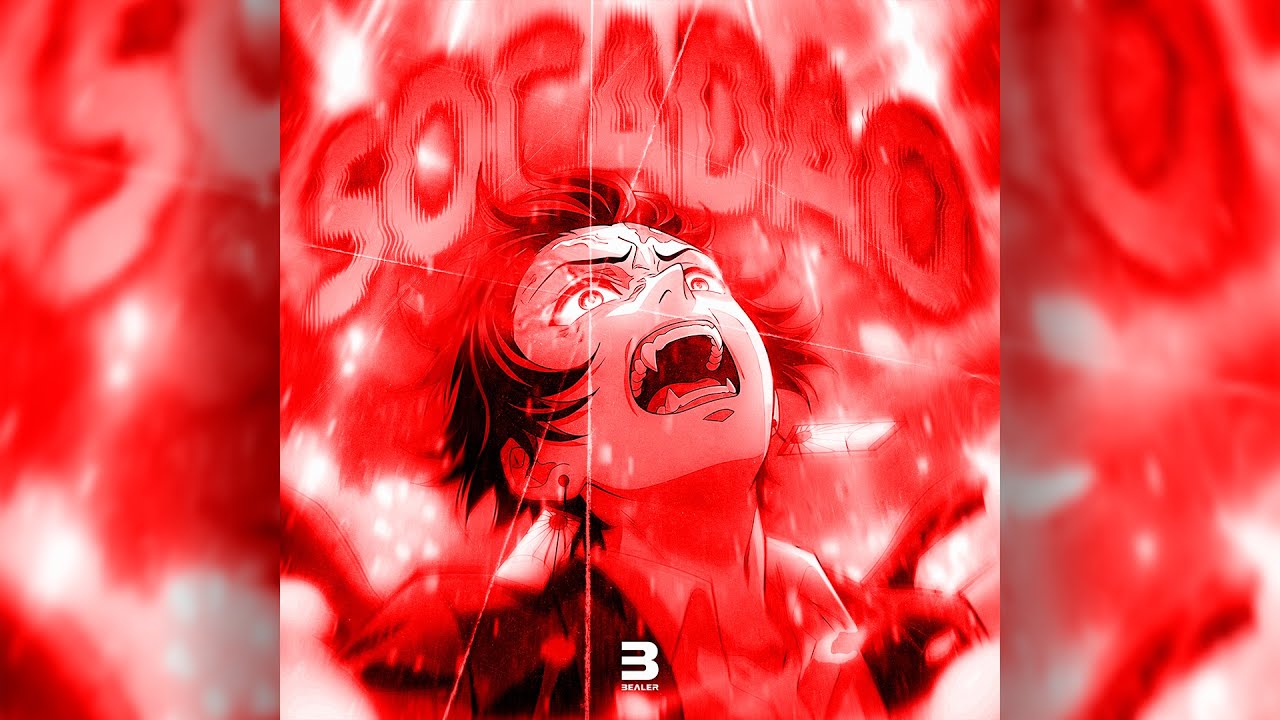 Bealer - SOCADAO