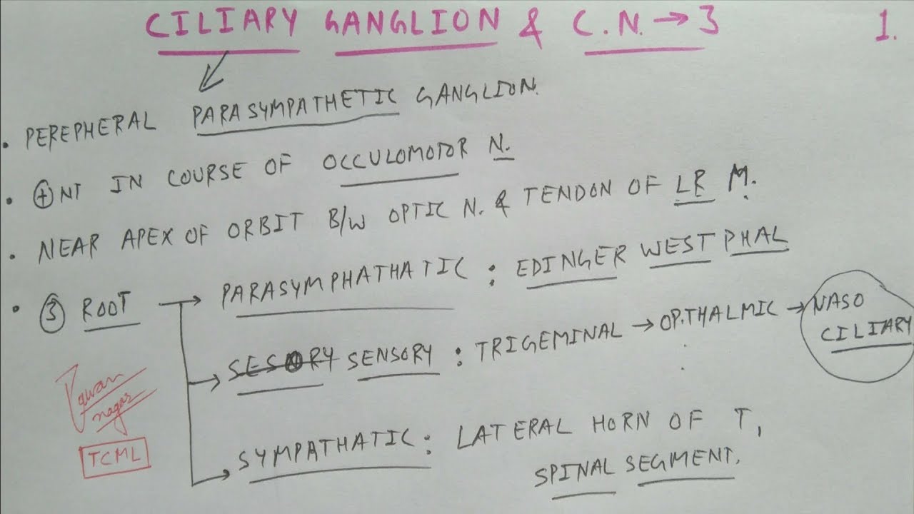 Ciliary Ganglion & Oculomotor Nerve - 1 | Cranial Nerve | Neuro Anatomy | TCML