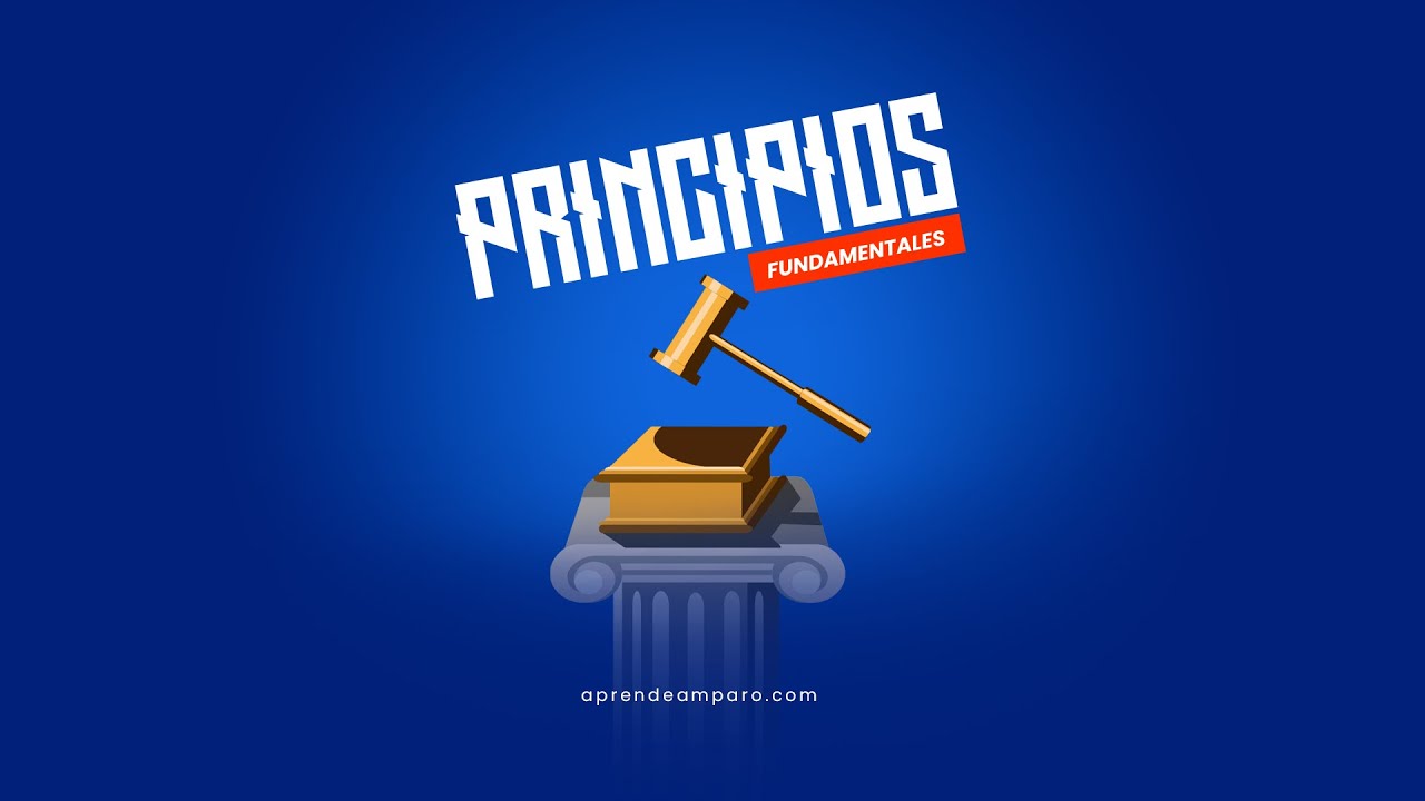 Principios Fundamentales del juicio de amparo #aprendeamparo