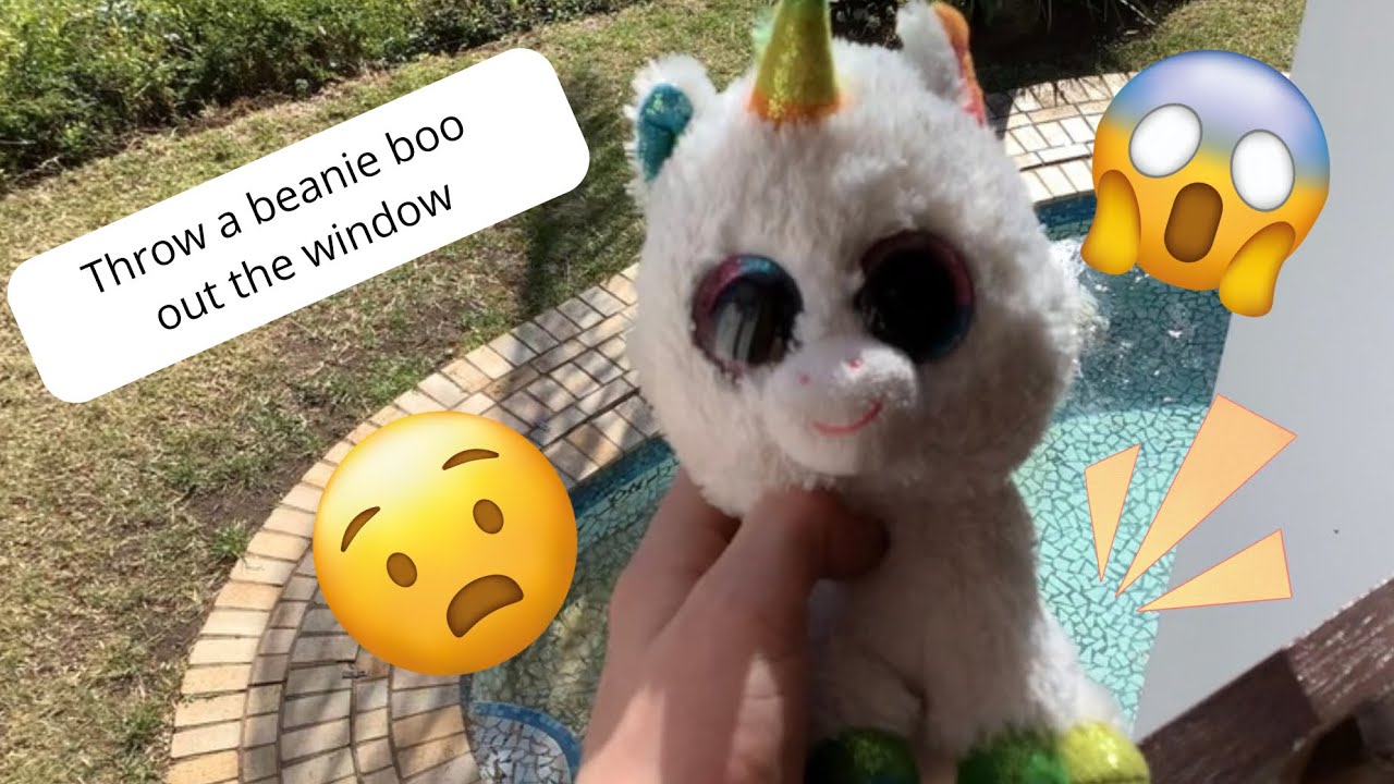 Beanie boo dares (100 sub special) 
