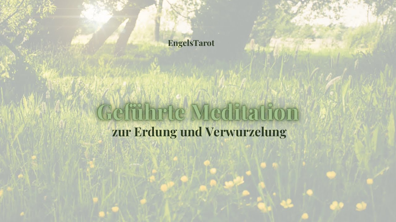 Geführte Meditation – Finde deine Wurzeln & kehre zurück in deine innere Balance 🌳✨