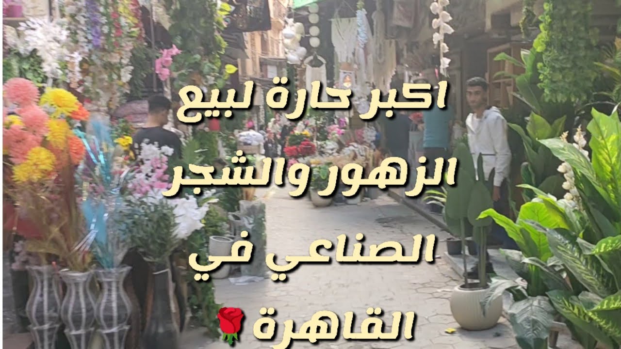 اماكن بيع الأشجار والزهور الصناعيه جمله وقطاعي والسعر من ١٥ جنيه