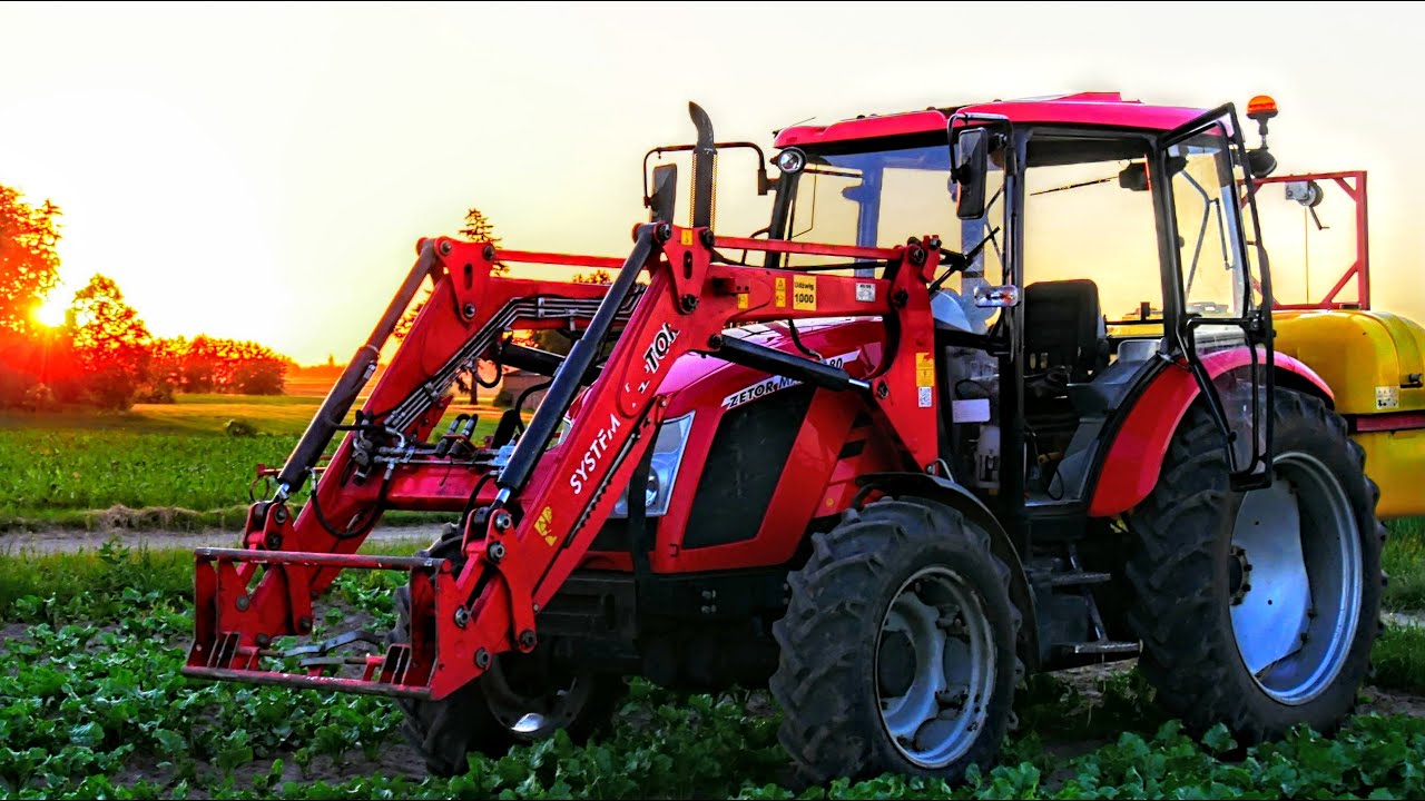 Wieczorne Opryski Buraków o Zachodzie Słońca! Zetor Major 80 & Biardzki