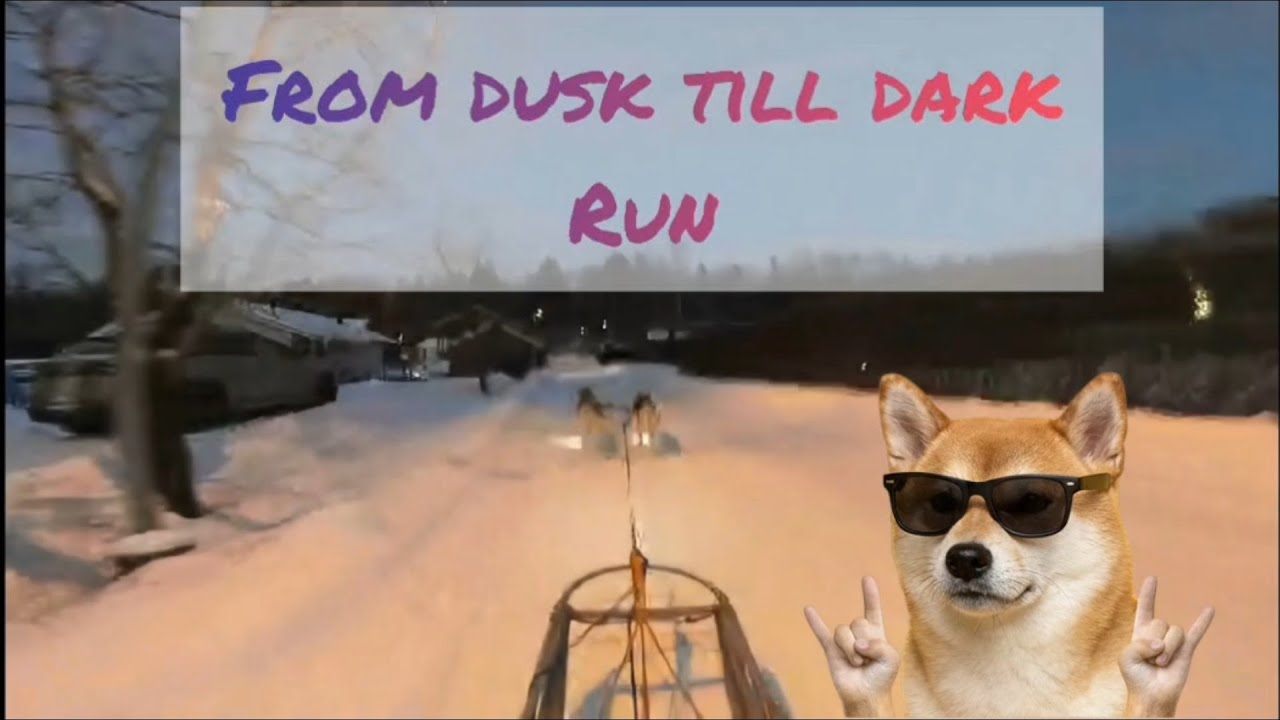 Went for a dusk till dark run with Heda and Havu