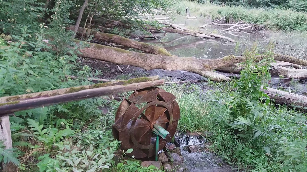 Droga do klasztoru Kameduł&oacute;w w Bieniszewie