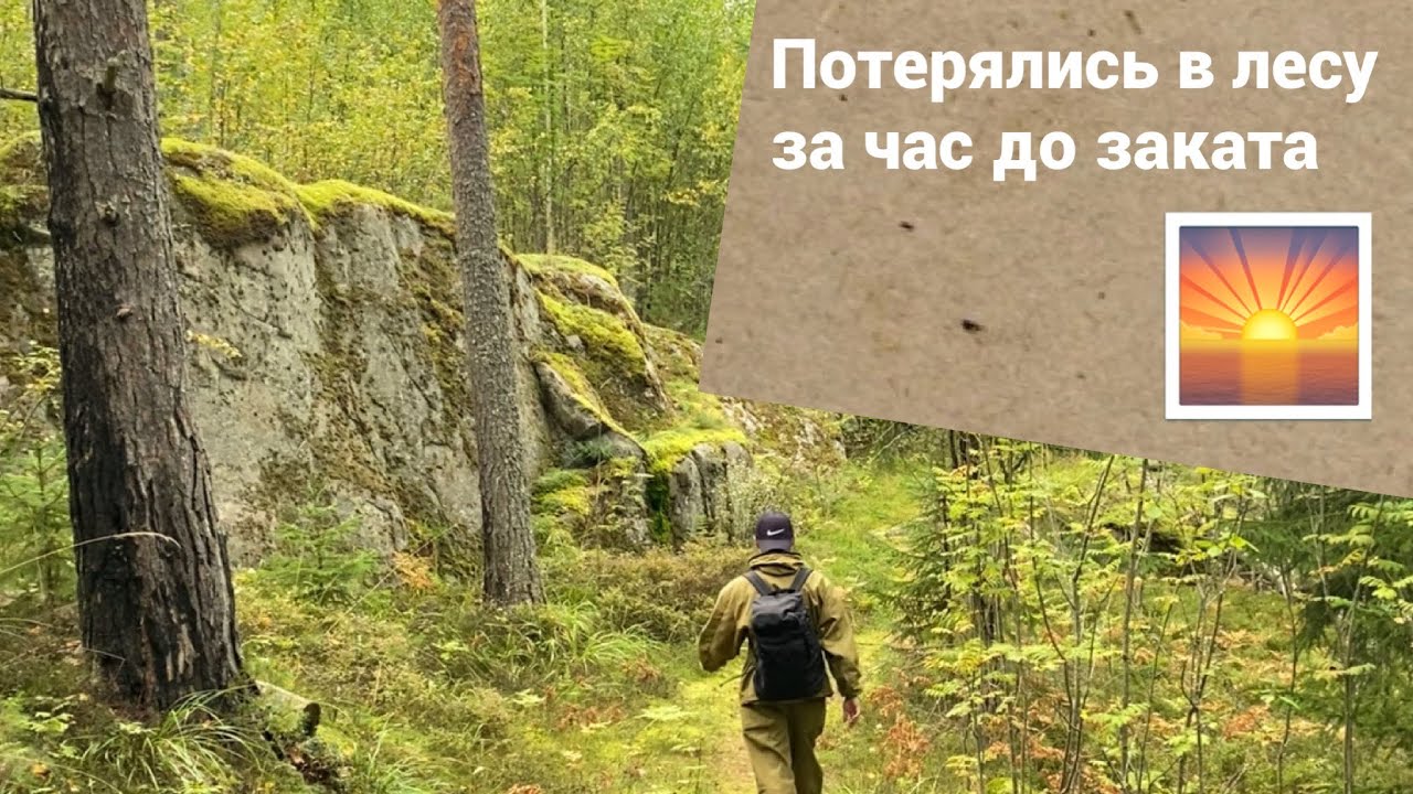 Опасная экотропа | Ладожские шхеры | Заблудились в лесу за час до заката