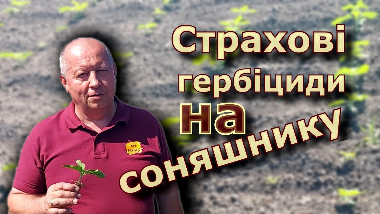 Страхові гербіциди на соняшнику.