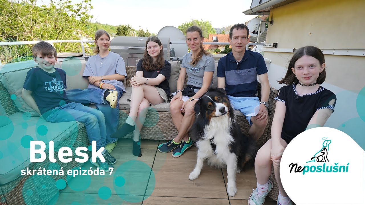 NEPOSLUŠNÍ (SKRÁTENÉ ČASTI):  Pastiersky pes Blesk, ktorý nežije na salaší