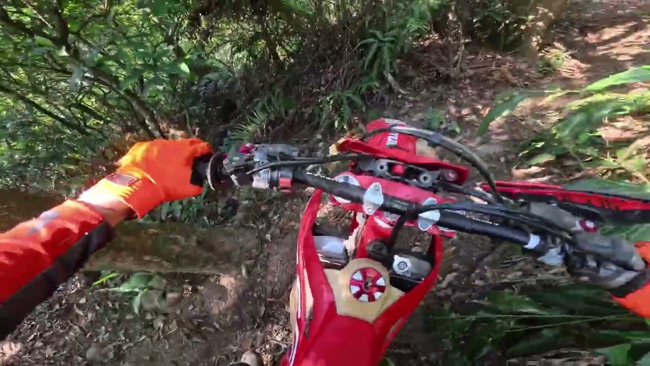 2026-0213龜山中坑 | 午後休閒騎 | 第一人稱視角