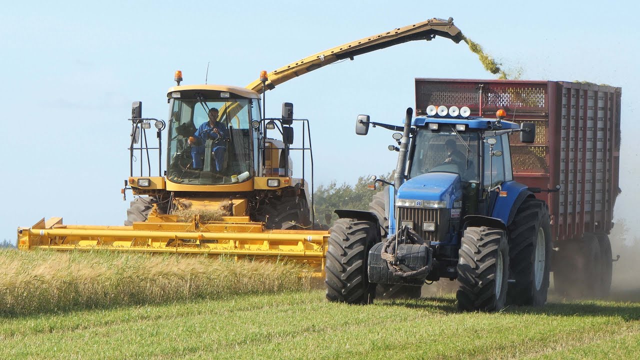 New Holland FX38 cutting whole crop Silage - It just keeps running | New Holland 8870