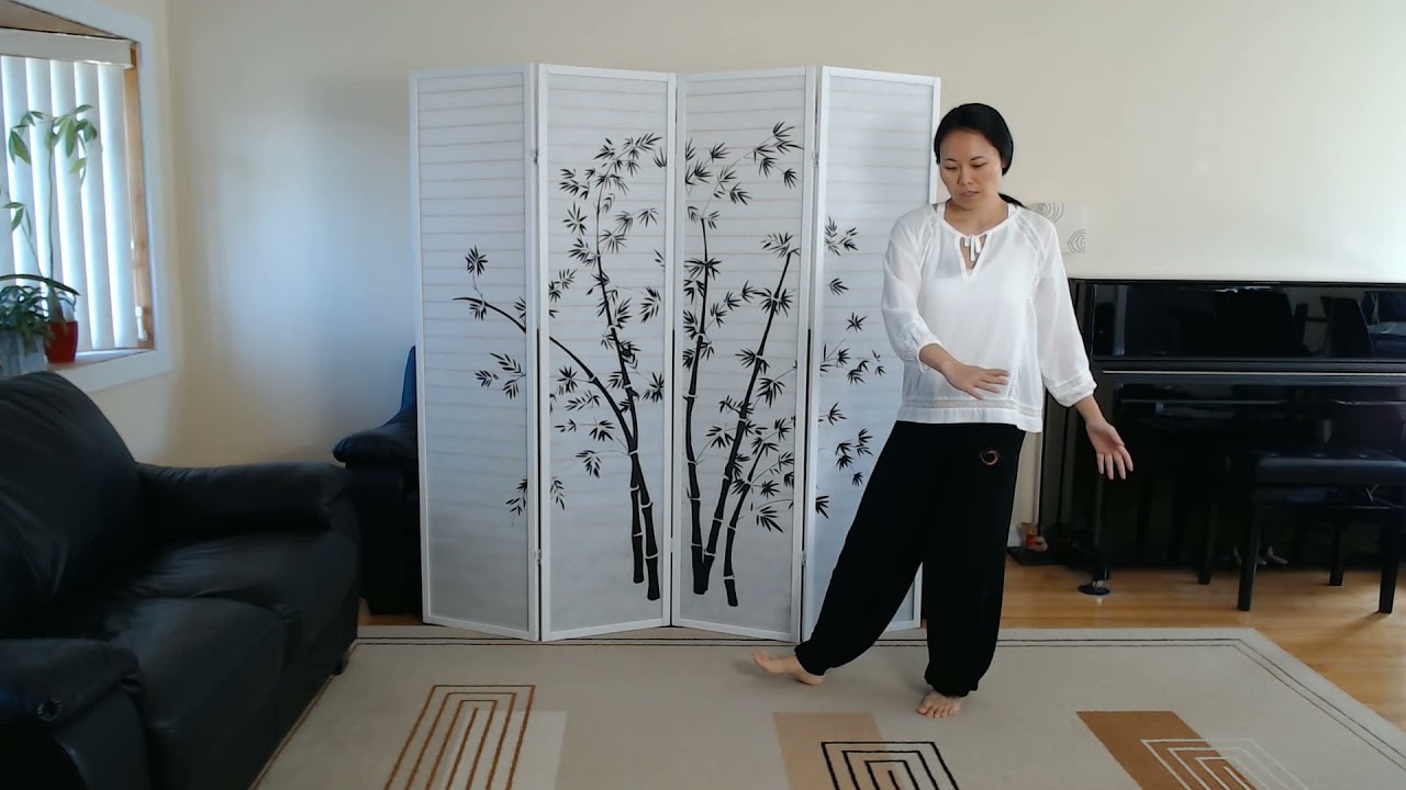 Tai Chi Yang Style 37 Form, Movements 13 & 14 Mirror Image