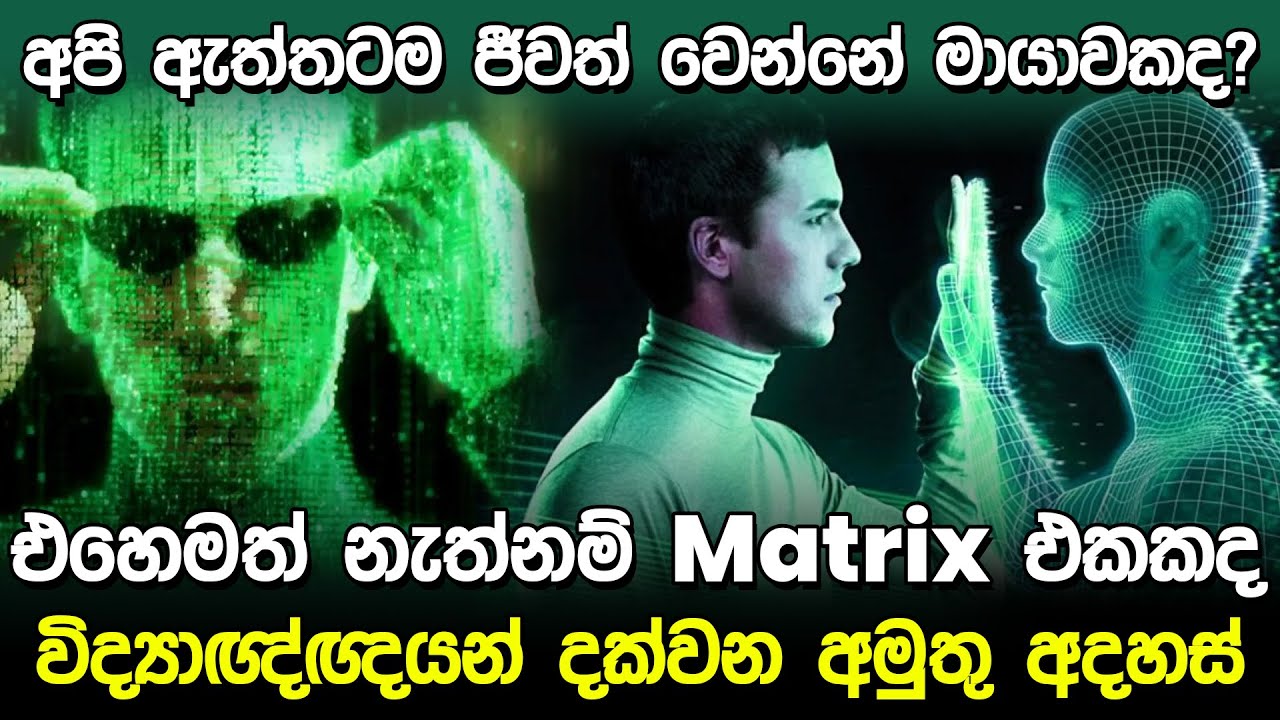 අපි ජීවත් වෙන්නේ මායාවකද? | Simulation Theory in Sinhala |