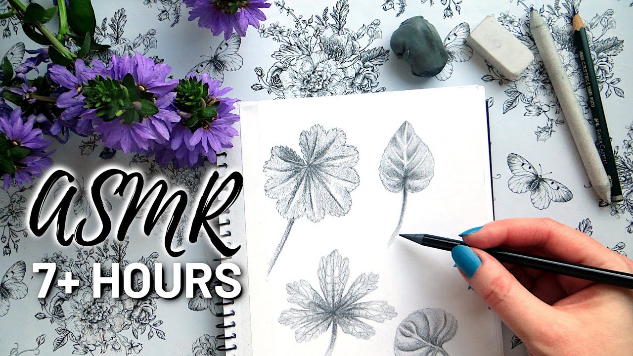 ASMR Drawing for 7+ Hours | No Talking