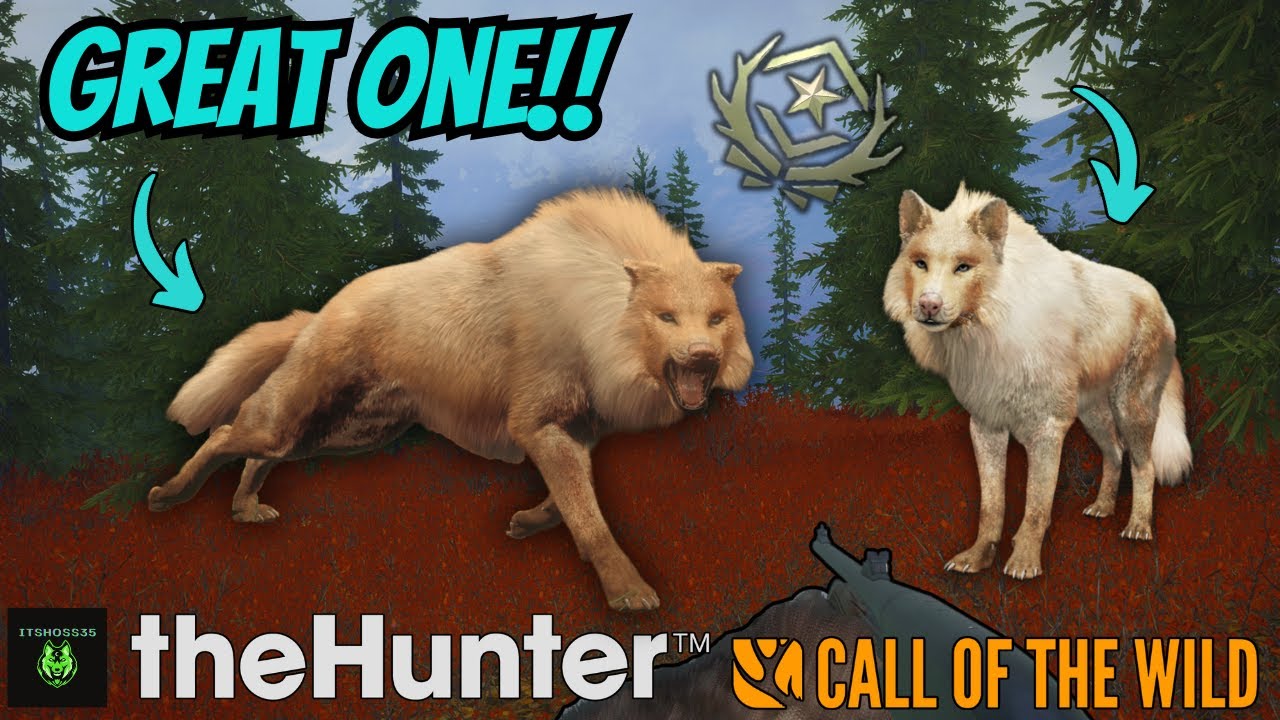 БЕЗУМНАЯ УДАЧА!! Появился ВЕЛИКИЙ СЕРЫЙ ВОЛК после 50 УБИЙСТВ!! | theHunter: Call of the Wild