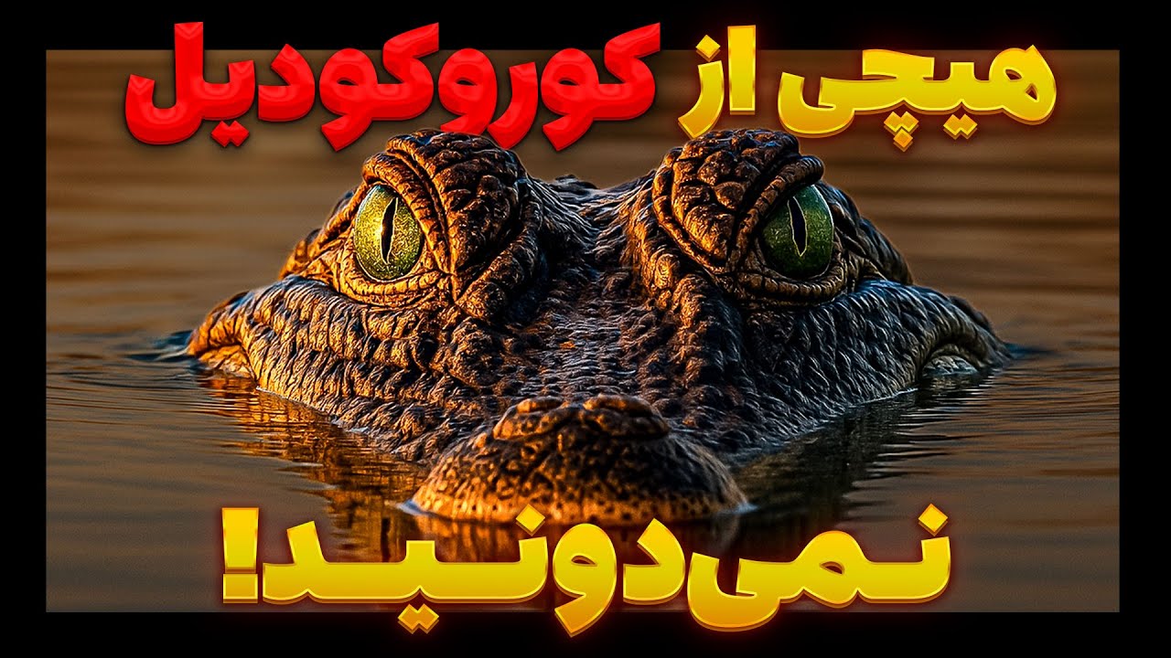 کروکودیل آب شور: باهوش‌تر از هر خزنده‌ای، ضد گلوله، و نوه دایناسورها