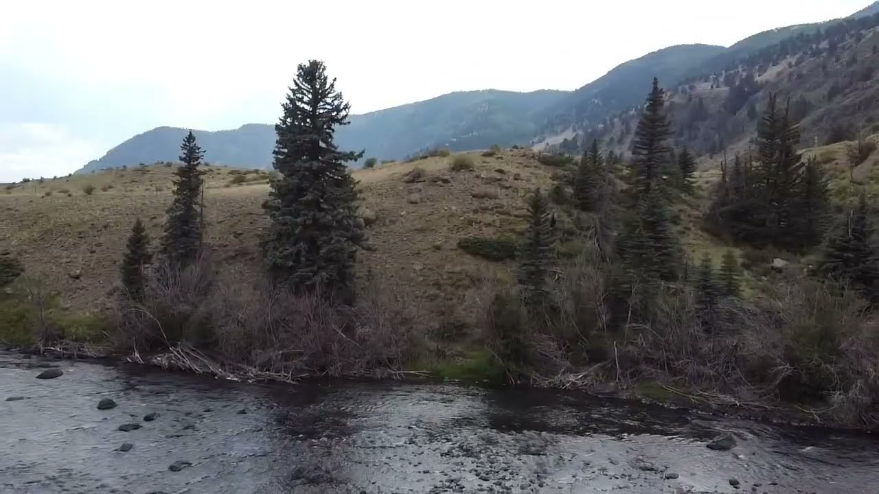 Creede 2025