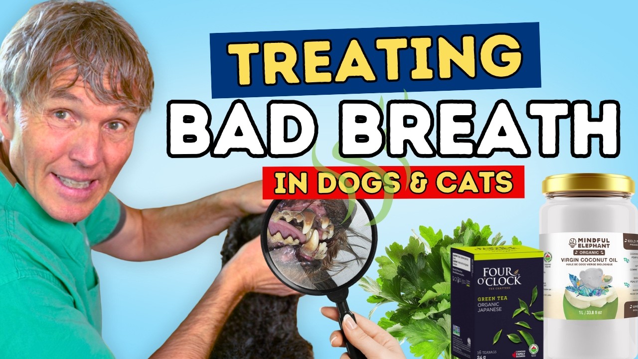 Stop Bad Breath in Dogs FAST! Vet-Approved Remedies You Can Do at Home!