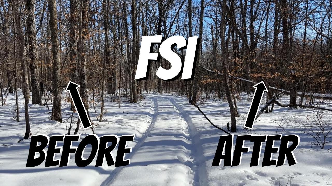 What FSI DEER BEDDING AREAS really look like AFTER LOGGING! This northwoods CLIENT CRUSHED IT!