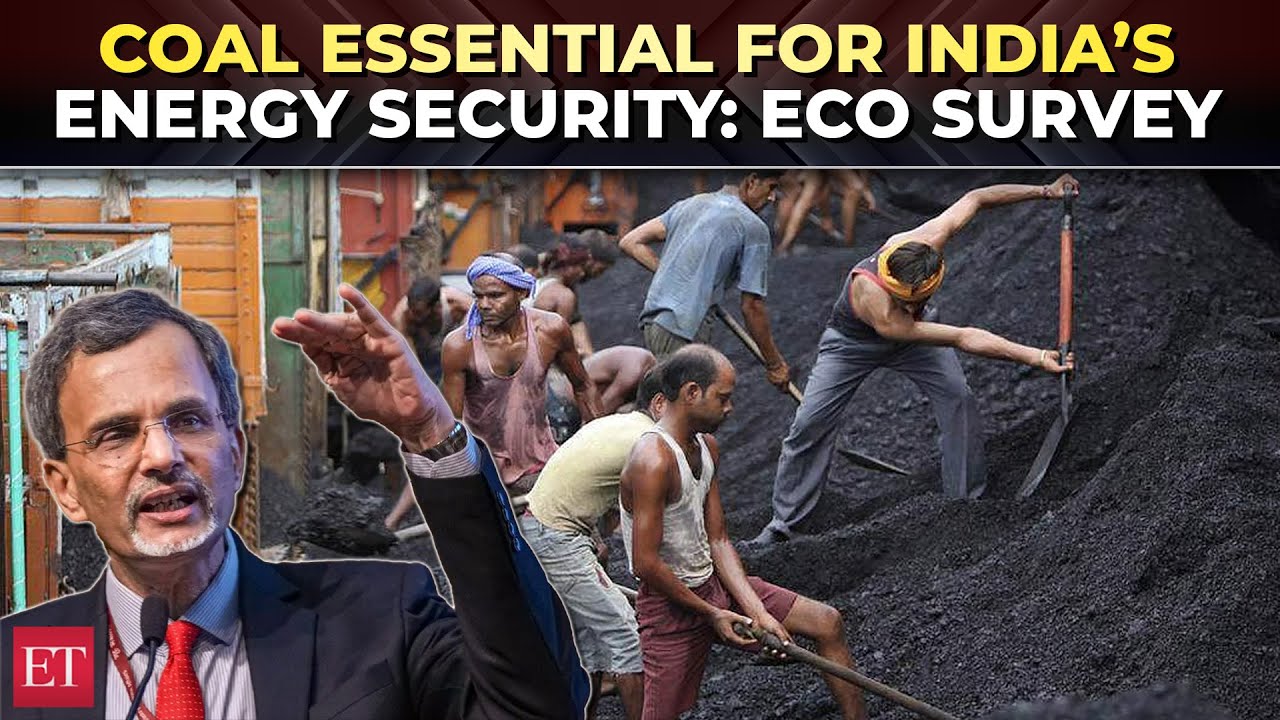 India&rsquo;s energy transition should focus on adaptation funding rather than emission mitigation: CEA