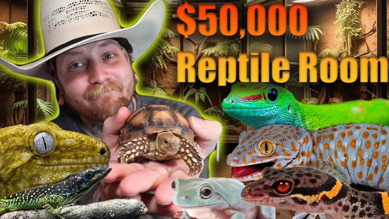 The Last Reptile Room Tour