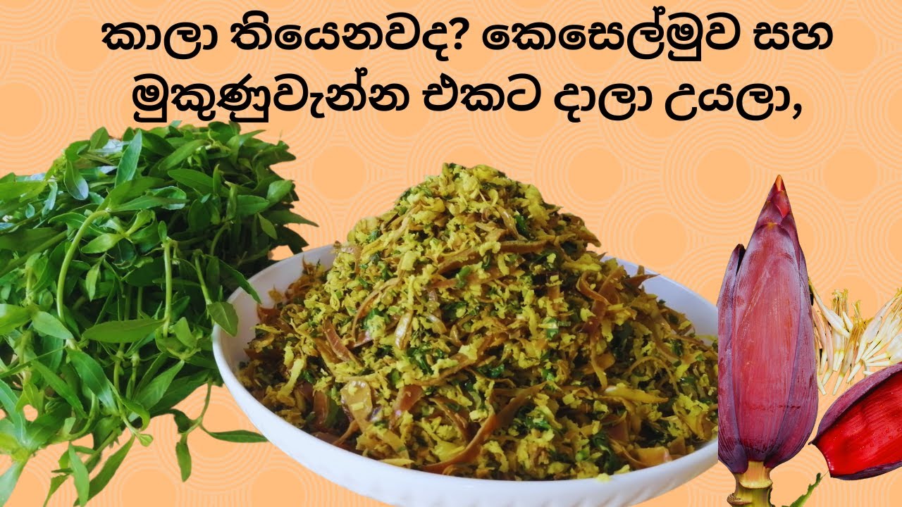 Cooking banana blossem and mukunuwanna together කාලා තියෙනවද? කෙසෙල්මුව සහ මුකුණුවැන්න එකට දාලා උයලා