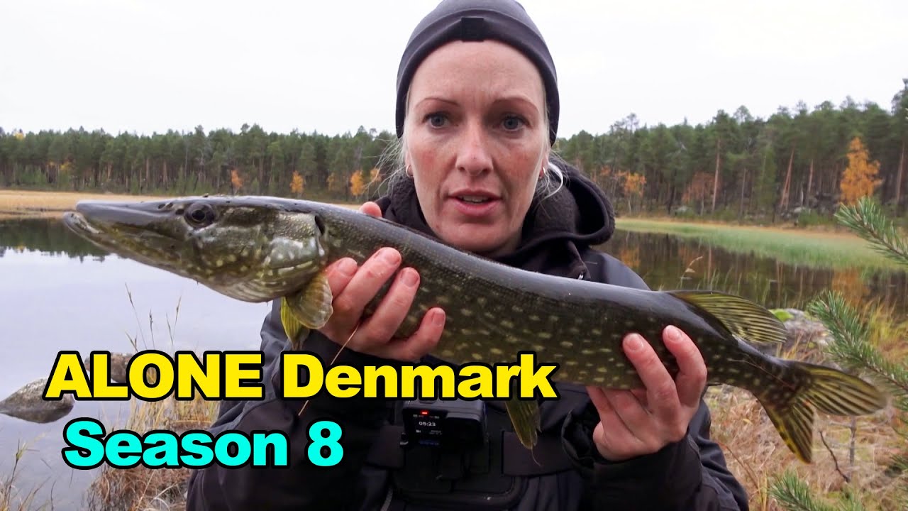 Alone Denmark:7 survival experts challenge the Arctic Circle (Season 8)