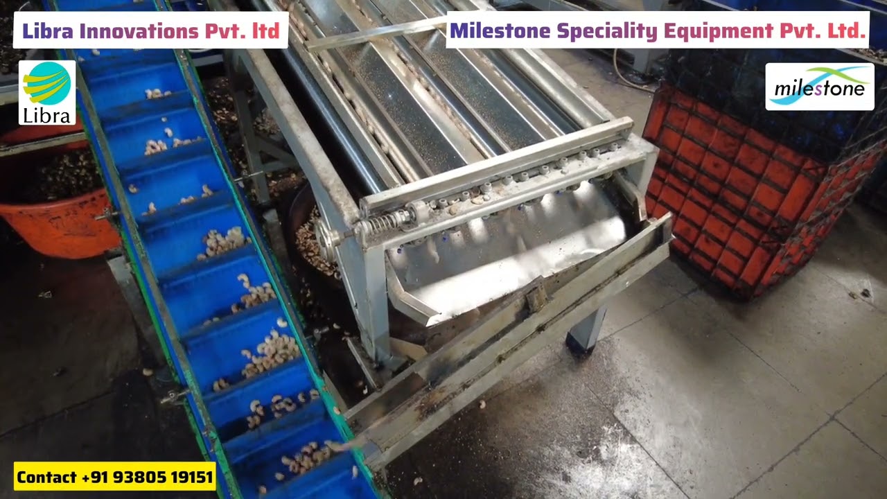NEW Cashew Shelling And Scooping System - 25 Tons Per Day - INDIA(2024)