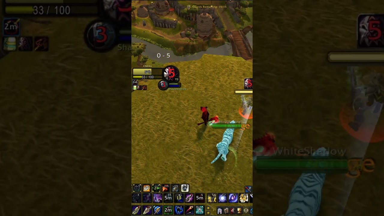 WoW Classic TBC Nagrand Hunter PvP vol. 1 #shadowstride  #worldofwarcraft #pvp