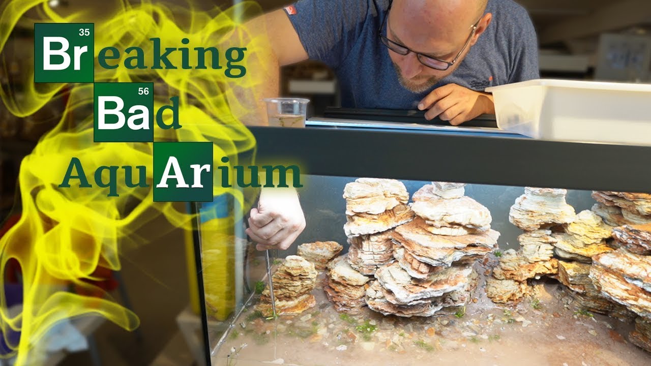 TOMIG bepflanzt das Breaking Bad Aquarium