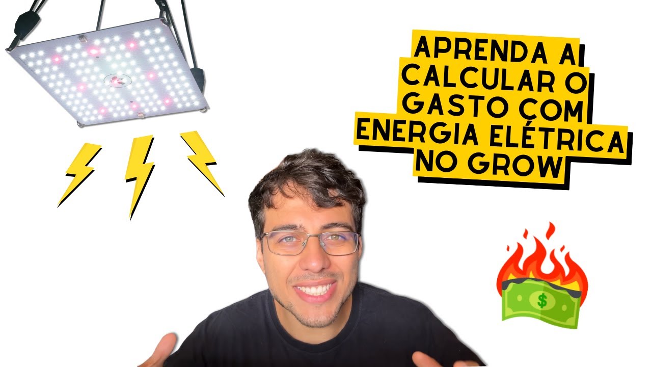 APRENDA a CALCULAR a CONTA de LUZ no CULTIVO INDOOR
