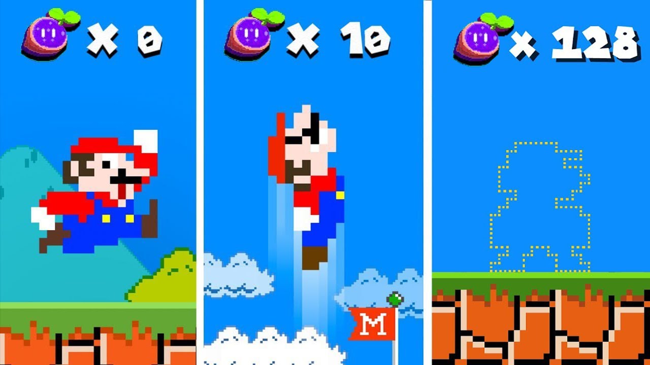Mario but every Seed makes Mario INVISIBLE! | New Super Mario Bros. Wii! | Game Animation