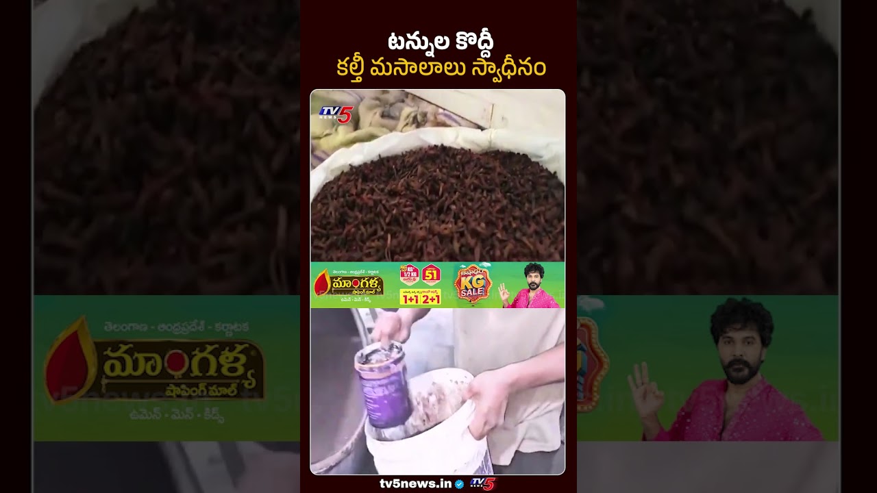 వంటింట్లో విషం | 25,300 Kg Spices Seized | Hyderabad Food Adulteration | TV5 News