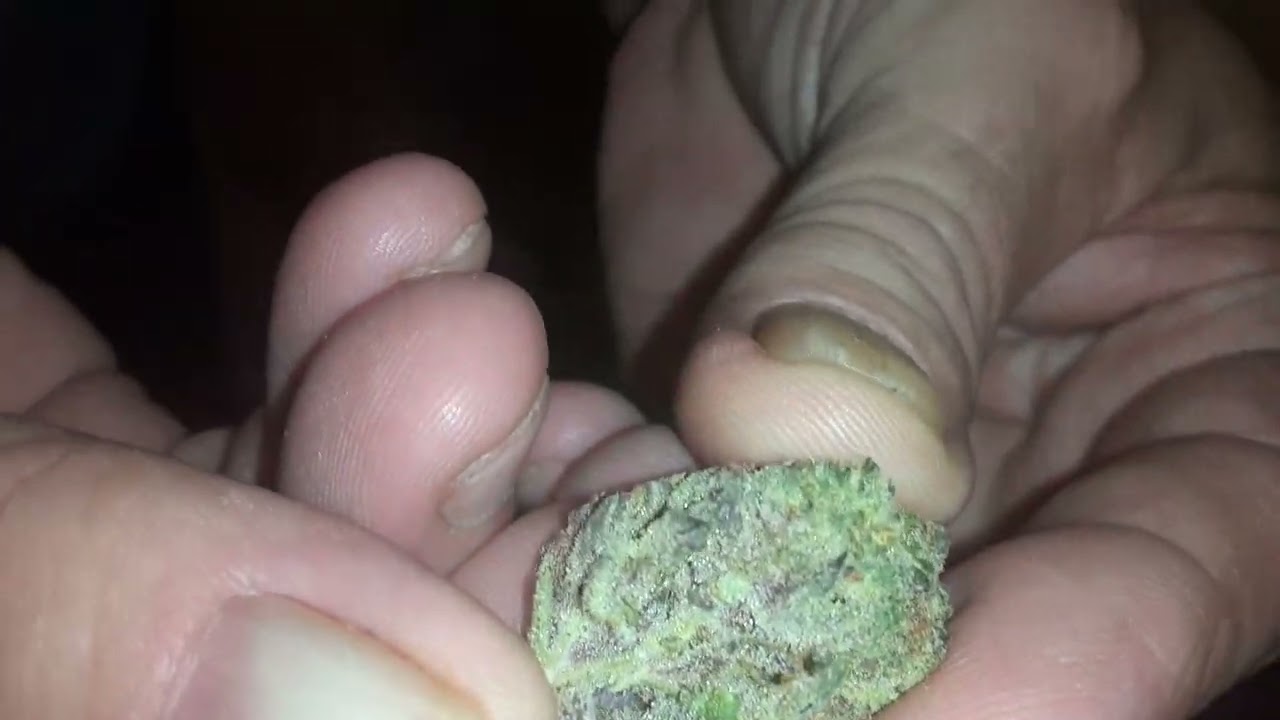 j littys premium thca flower unboxed 18 and older get some