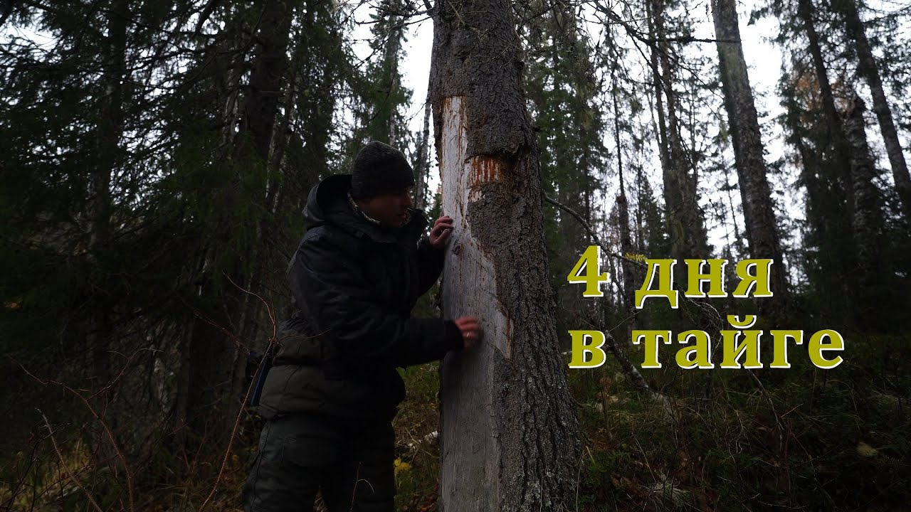 ЖИВЁМ С БАТЕЙ 4 ДНЯ В ИЗБЕ. КРЕСТ. БЫТ В ТАЙГЕ. РЫБАЛКА.