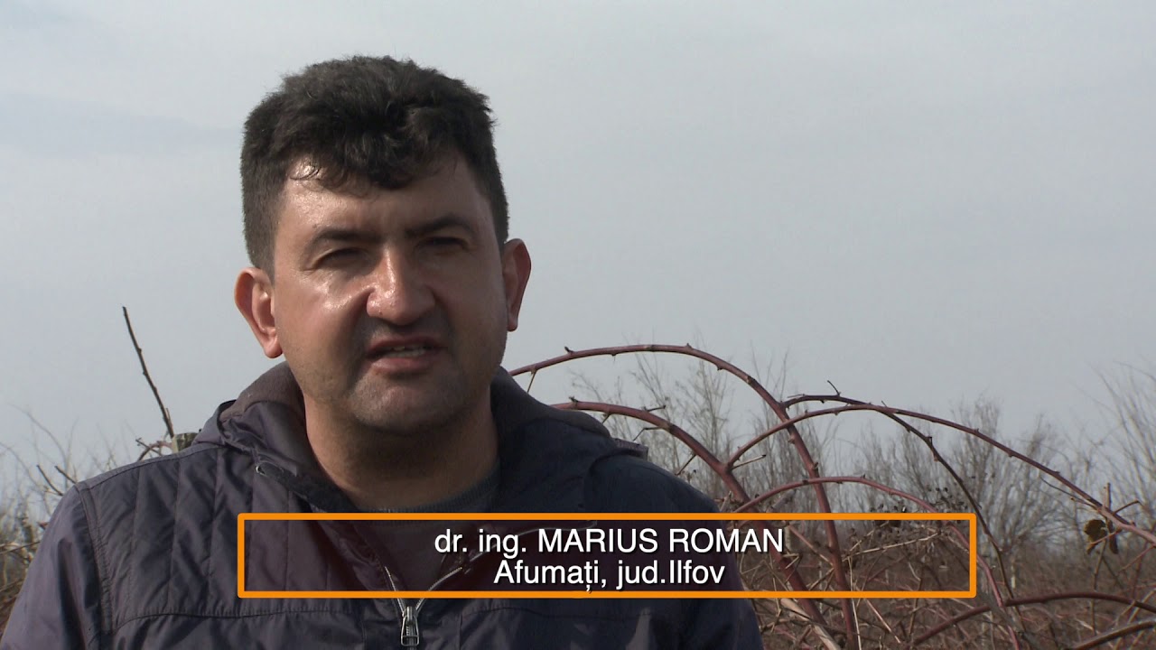 În grădina Danei: Tăierile de primăvară la mur şi cultura cartofului (@TVR1)