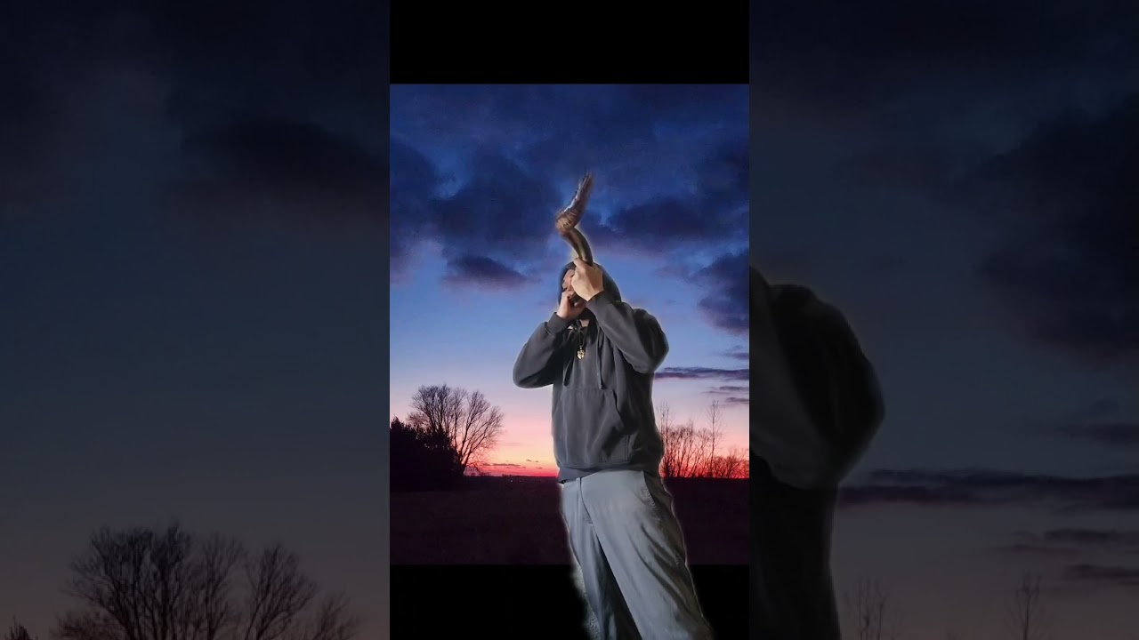 Shofar War Lamb