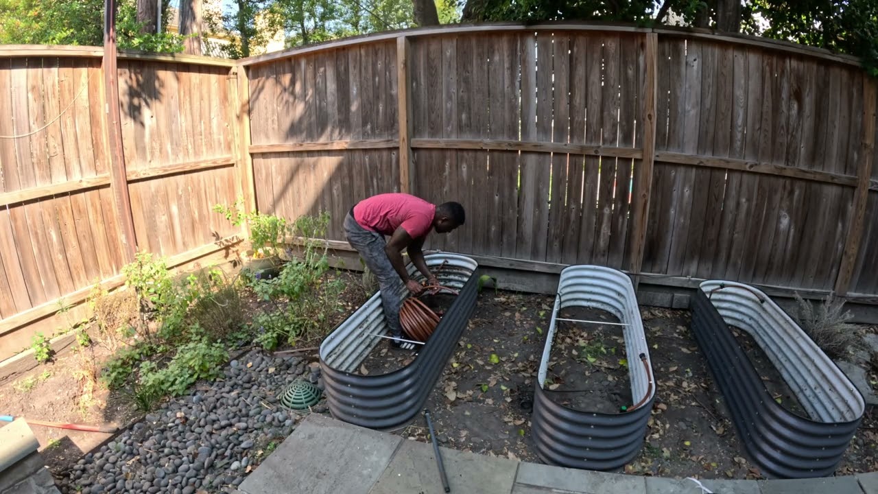 Создание сада на заднем дворе