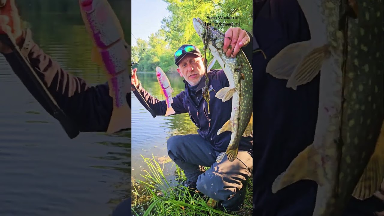 4D LT Trout &ndash; jeden z najłowniejszych swimbait&oacute;w na rynku.