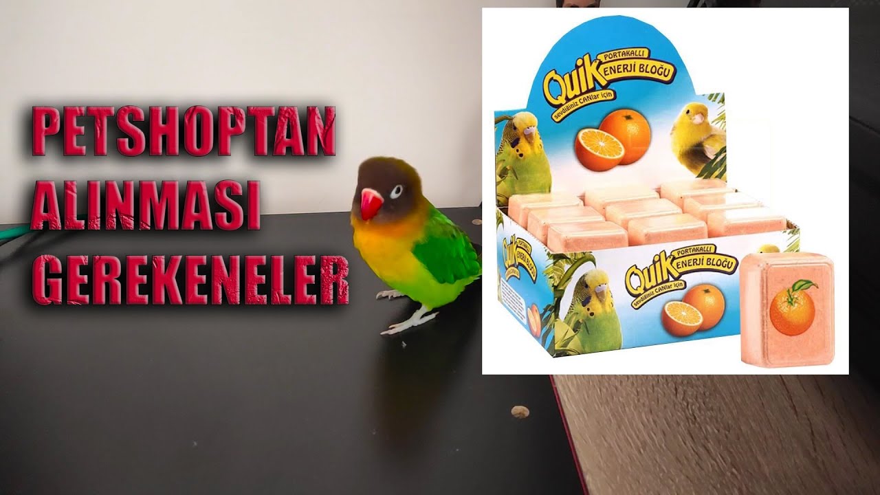Cennet Papağanı İçin PetShop'tan Alınması Gerekenler