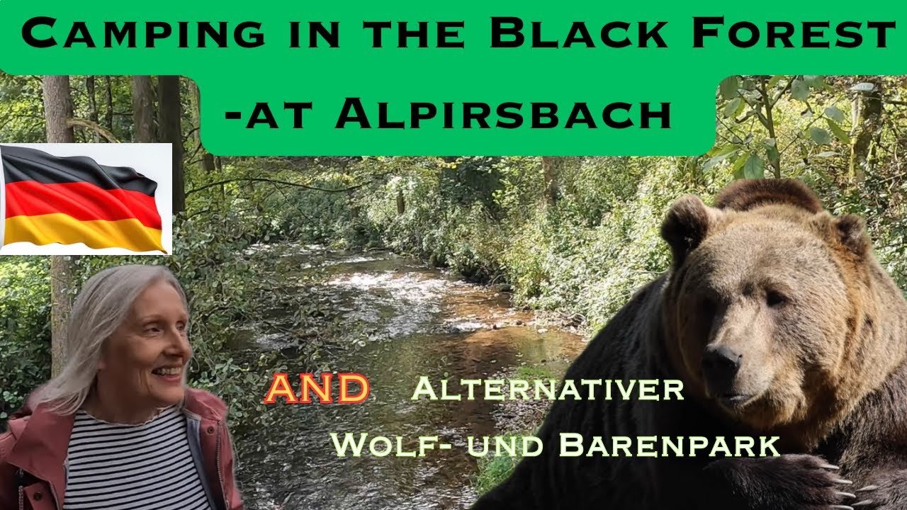 RETURN. to the BLACK FOREST - and the amazing Wolf- und Barenpark