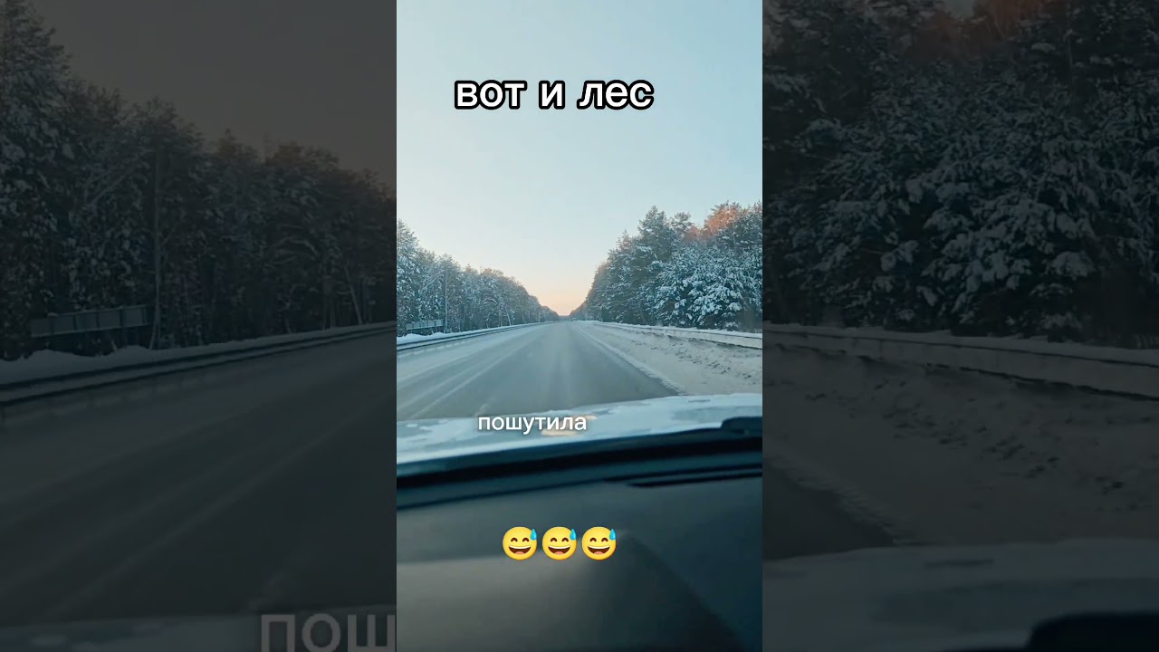#funnyvideos #automobile #rockhub #шуточное #зарулем