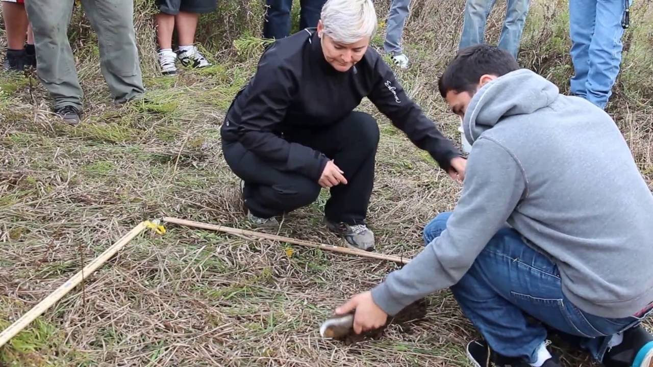 How to collect a soil sample